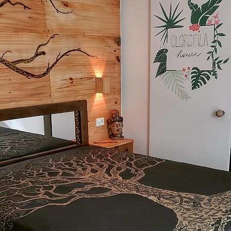 Clorofila House Glamping Naturista Ubatuba Bagian luar foto