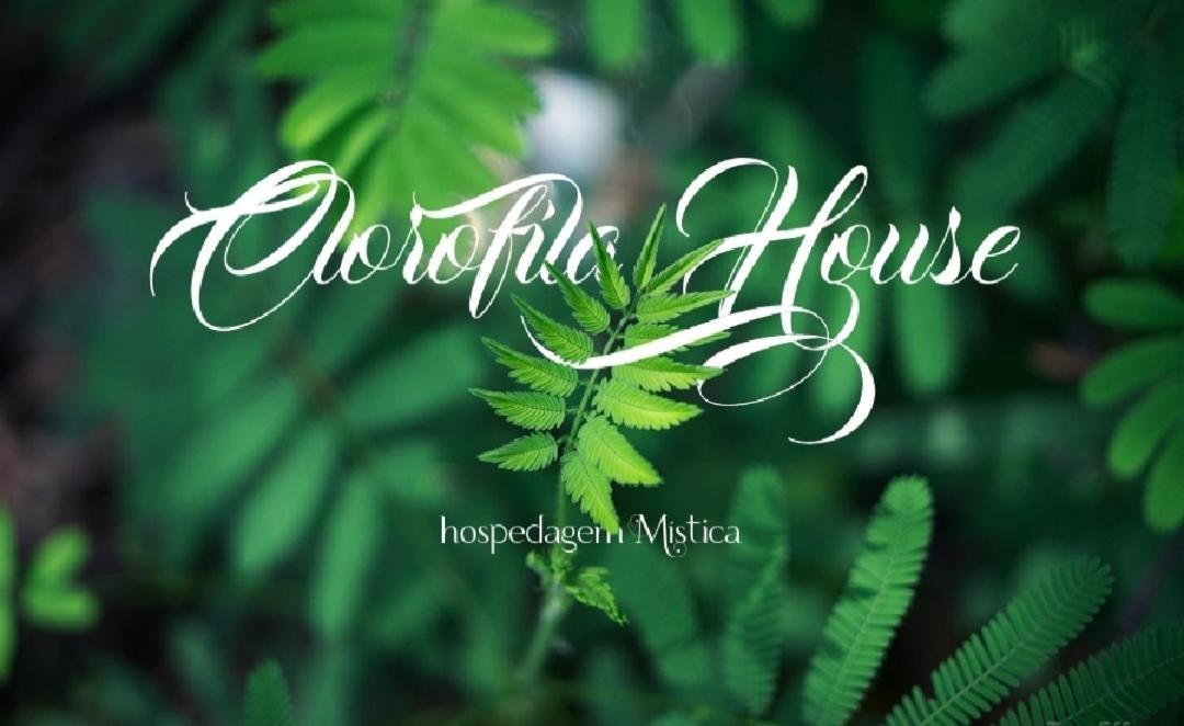 Clorofila House Glamping Naturista Ubatuba Bagian luar foto
