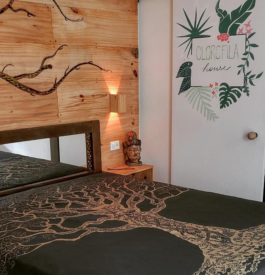 Clorofila House Glamping Naturista Ubatuba Bagian luar foto