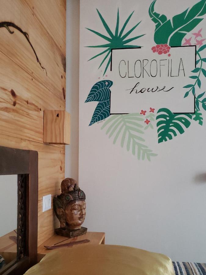 Clorofila House Glamping Naturista Ubatuba Bagian luar foto