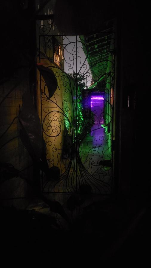 Clorofila House Glamping Naturista Ubatuba Bagian luar foto