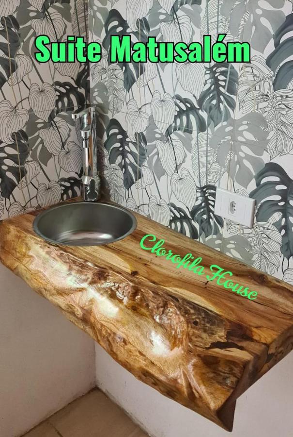 Clorofila House Glamping Naturista Ubatuba Bagian luar foto