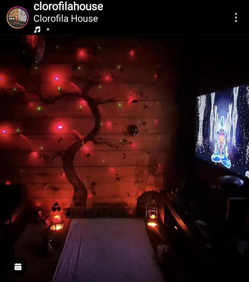 Clorofila House Glamping Naturista Ubatuba Bagian luar foto