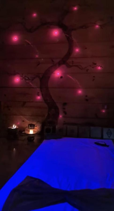 Clorofila House Glamping Naturista Ubatuba Bagian luar foto